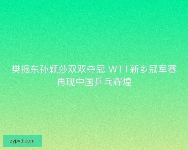 樊振东孙颖莎双双夺冠 WTT新乡冠军赛再现中国乒乓辉煌