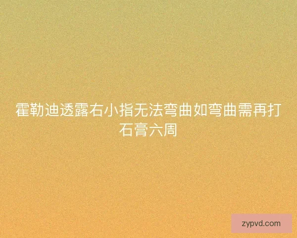 霍勒迪透露右小指无法弯曲如弯曲需再打石膏六周